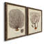 Esper Sea Fans I - cadre photo, reproduction d'art-1700614843-1700614840-1700713609