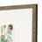 " Antique Botanical I S/3 " by Vision Studio 3 - Pieces Painting Print