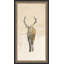 Deer Shadow 1 Print