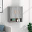 Kamyrah Wall Bathroom Storage-1621585236