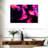 Bright Pink Jellyfish-107886784