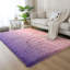 Ombre Shag Area Rug-118262193
