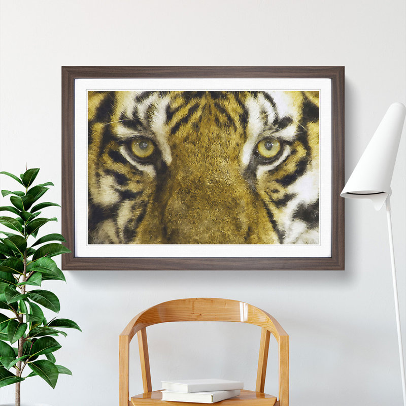 Eye of the Tiger - Framed Print, Walnut Framed, 36cm H x 48cm W x 2cm D