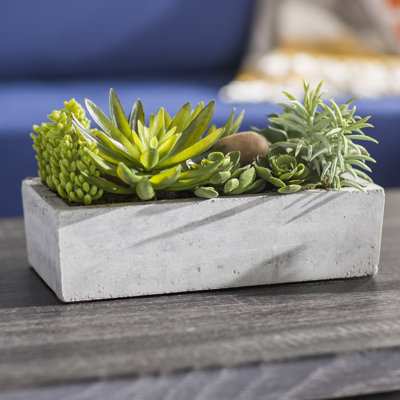 6.5'' Faux Succulent Plant in Stone Planter