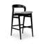 Modern Brazilian Velma Counter Stool-574982016-574982040
