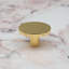 Polished Brass Disc Knobs-128905919