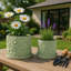 Jardinière décorative en céramique à motif marguerite avec soucoupe pour la décoration intérieure