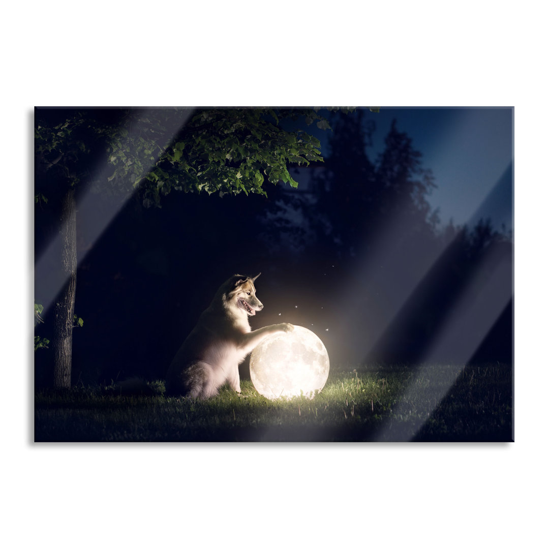 Glasbild Hund mit leuchtendem Mond bei Nacht