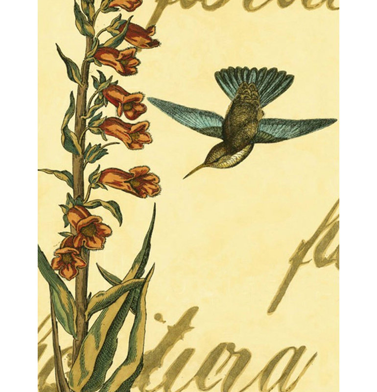 Colibri paisible II, H 47 po x l 36 po