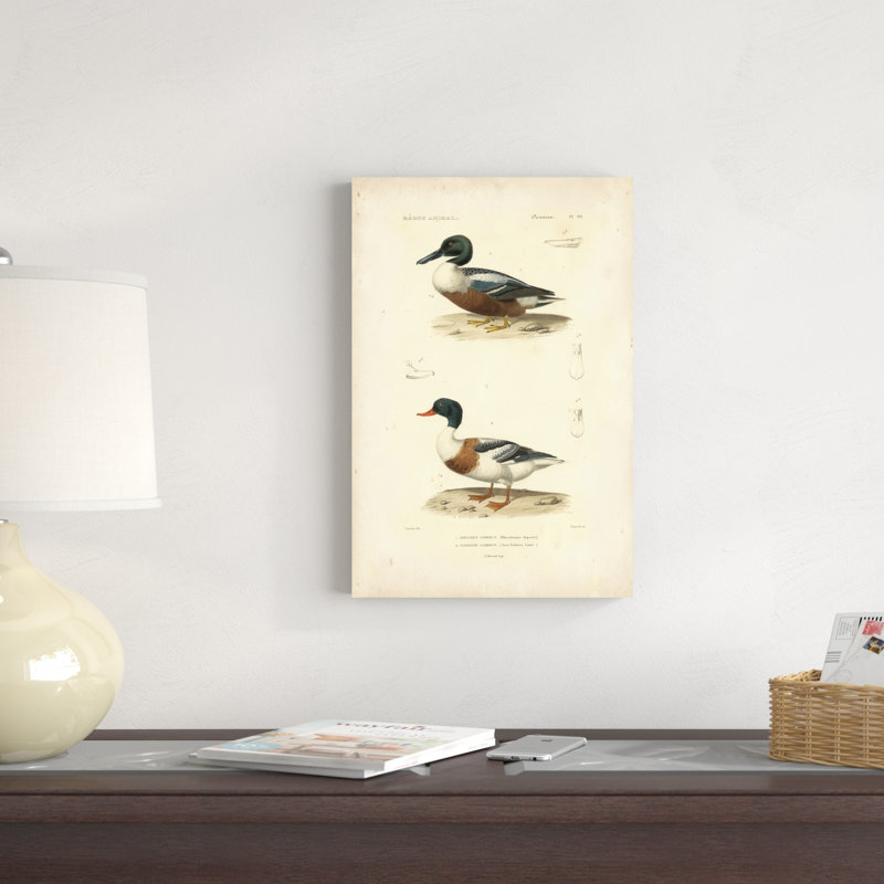 Étude de canard antique II, H 18 po x l 12 po x P 1,25 po