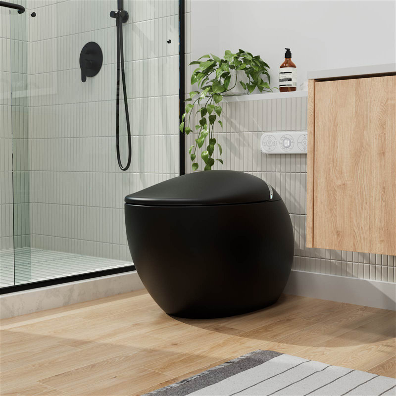 One-Piece 1.1/1.6 GPF Dual Flush Eggy Elongated Toilet in White with Siphon Jet Flush, Black