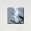 Latitude Run® «Translucent Tulips II Aqua» par Debra Van Swearingen, art mural-1780555570