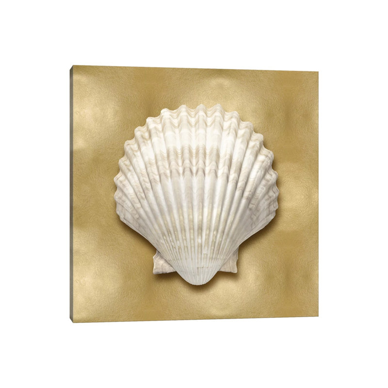 Shell On Gold IV by Caroline Kelly - Wrapped Canvas Painting, 30.48 cm H x 30.48 cm W