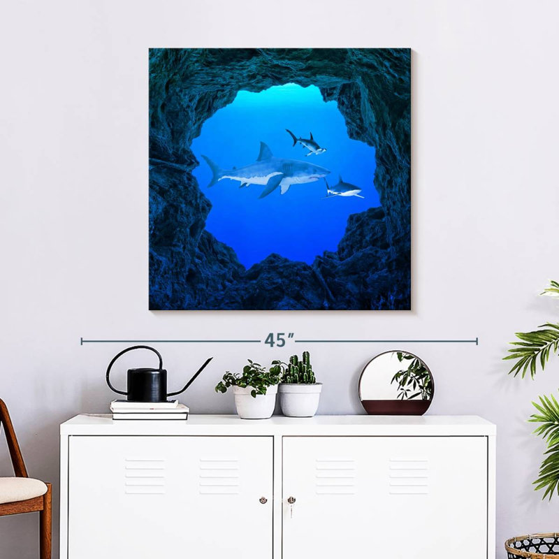 Brampt Sharks Ocean Hole, 30" H x 30" W