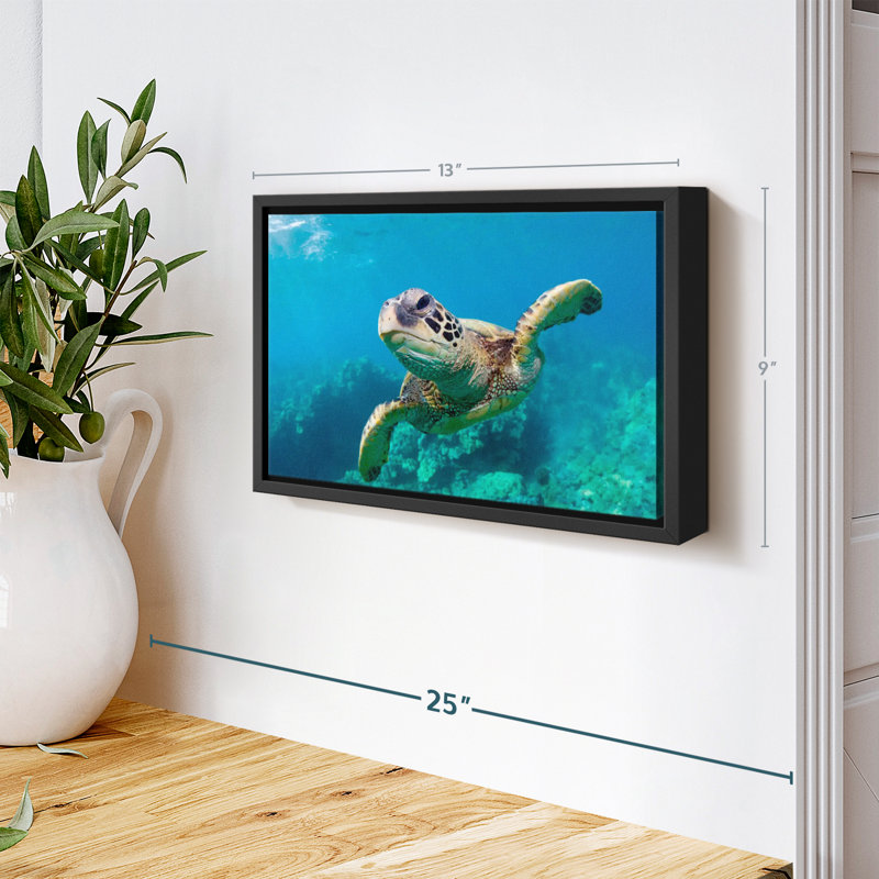 Tortue de mer hawaïenne, reproduction sur toile, H 9 po x l 13 po