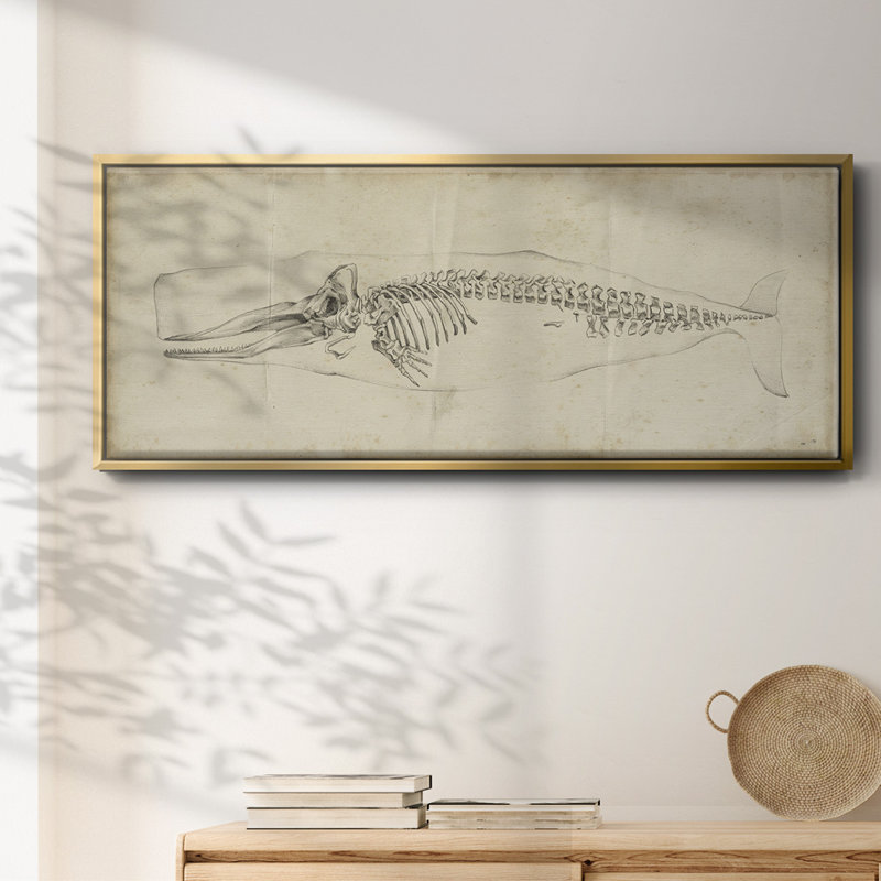 Whale Study II - toile encadrée, H 12 po x l 30 po
