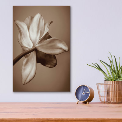 "Tulipe au clair de lune" par Rebecca Swanson