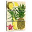 Étude d'ananas tropicaux Yarlin I-108666205