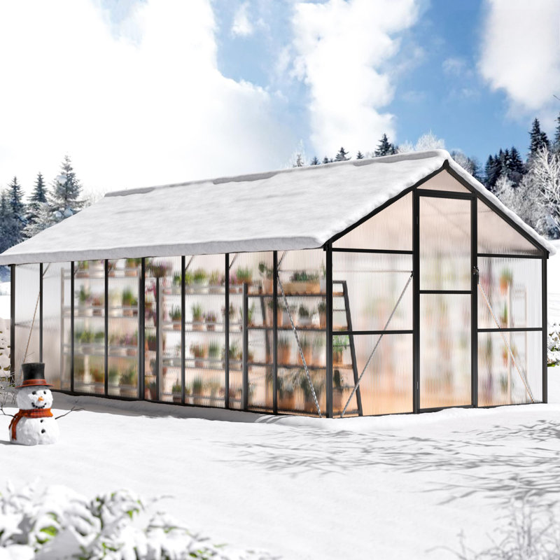 8 ft. W x 16 ft. D Greenhouse for Outdoors, with Reinforced Quick-Setup Structure and Roof Vent, Black