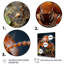 «Ant Delicate Explorer IV», reproduction sur toile-1080858348-1080858339