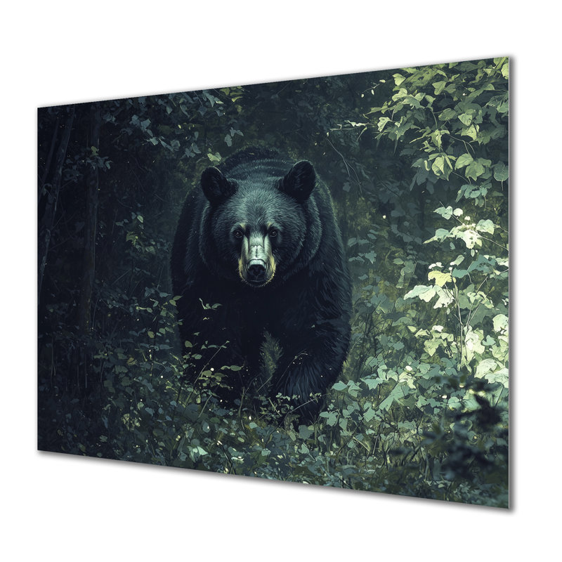 «Black Bear Focus Into The Forest I» - Ours imprimé métallique, H 12 po x l 20 po