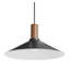 Emblem 1 - Light Pendant-74747929-74747930-94655710