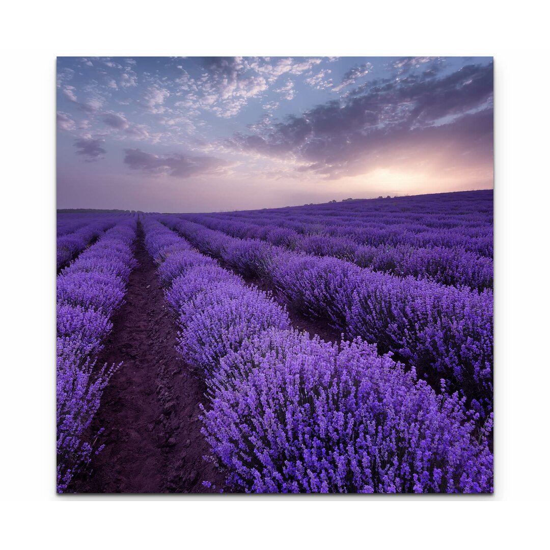 Leinwandbild Lavendel Feld