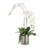29 " PU Orchid Arrangement