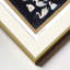 The Swans-415724261-415724263