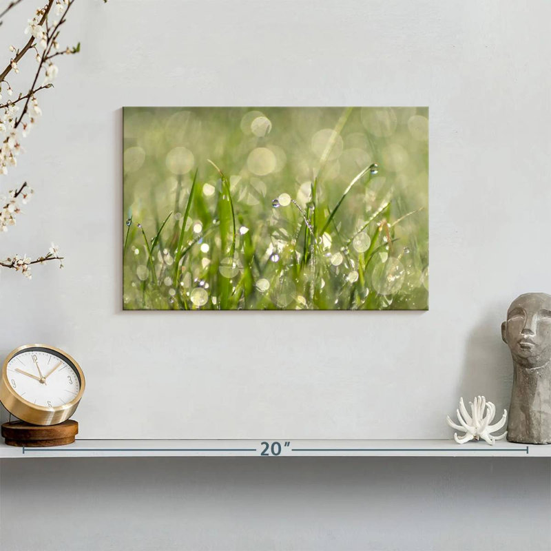 Harnek Raindrops On Grass Abstract, 8" H x 12" W