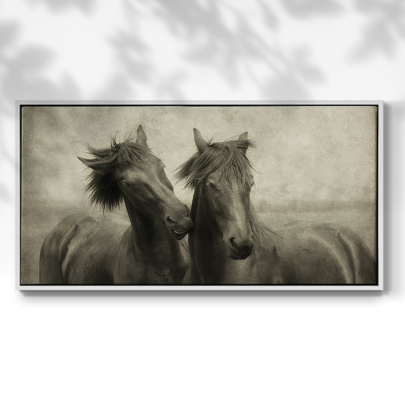 «Horses Don't Whisper», toile tendue avec châssis, prête à être accrochée, H 21 po x l 41 po, Blanc