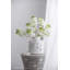 Vase de table en céramique blanc cassé-21250316