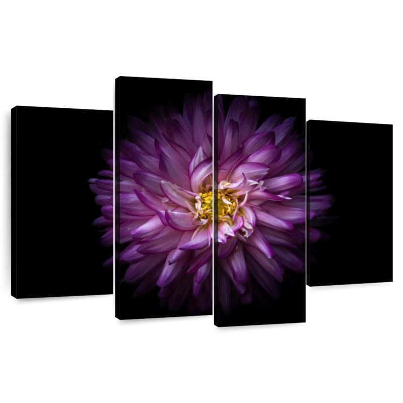 Harnek Backyard Flowers Colored V, 22" H x 36" W