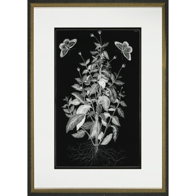 Butterfly Botanical I Print