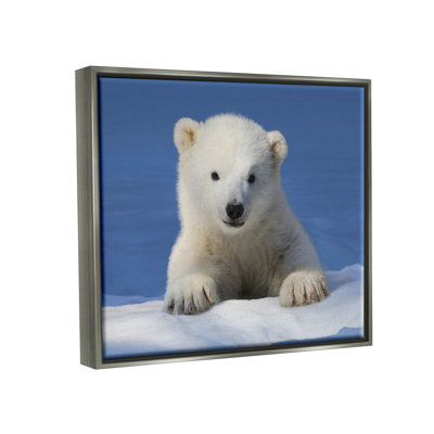 Ax-704-Giclee " Baby Polar Bear Peeking " by © Shane Lamb