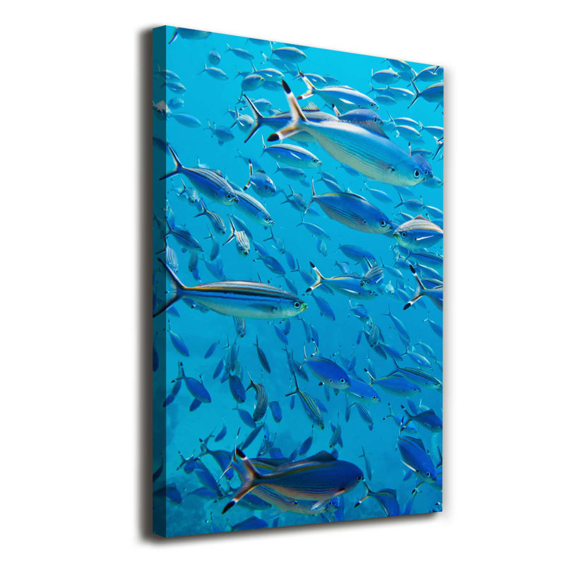 Coral Fish 1 Piece Wrapped Canvas Wall Art