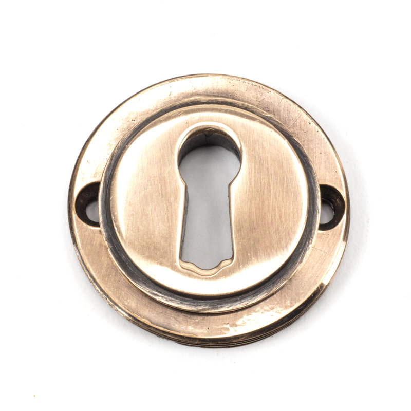 Escutcheon Door Accessory, Polished Bronze