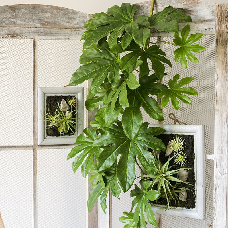 Branche de feuille de fatsia