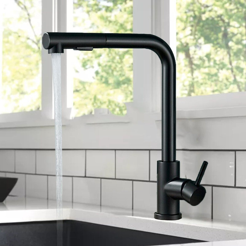 Belfry Kitchen Ansel Pull Out Kitchen Faucet