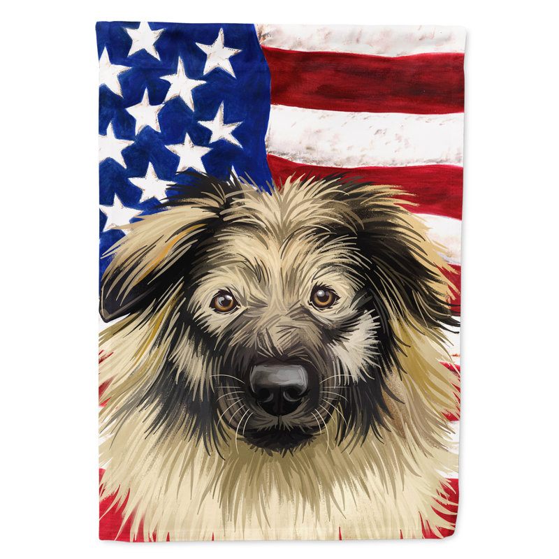 Polyester à 2 côtés 28 x 40 po drapeau maison, Berger du Karst