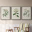 Antique Turpin Botanical VII - Ensemble de 3 peintures sur toile encadrées-1032562617-1032562618