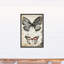 Double papillon encadré sur toile-169126573