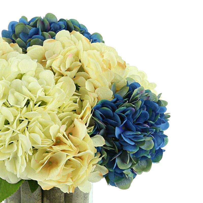 Assorted Hydrangeas Arranged in Glass Vase with Birch Sticks, Blue/Cream