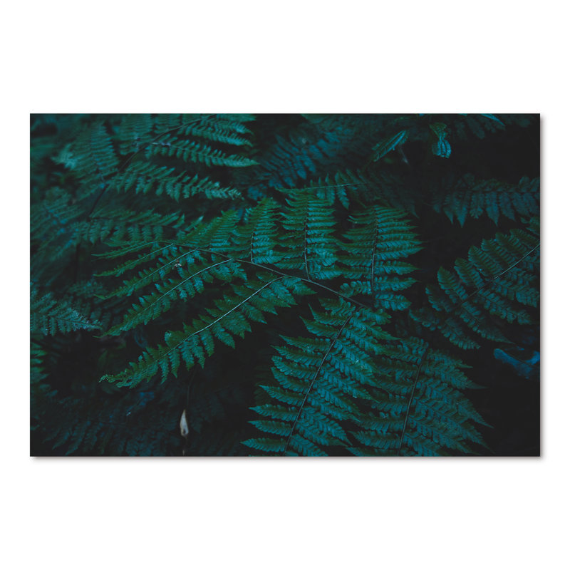 Brownies vert foncé - photographie sur toile, H 40 po x l 60 po, Toile tendue