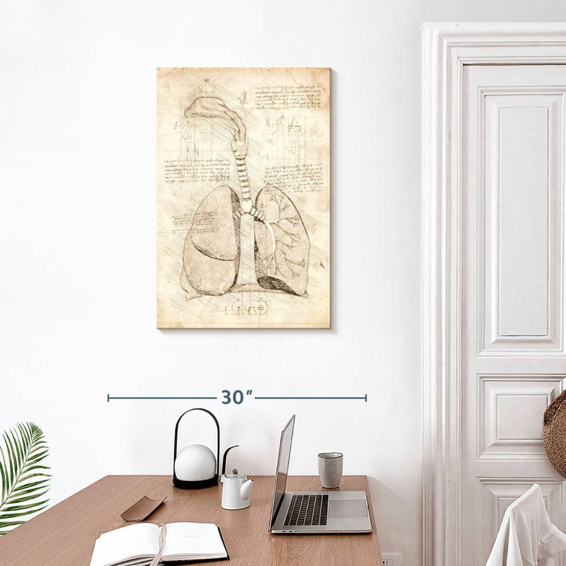 Keiri Human Respiratory System, 30" H x 20" W