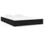 Bed Frame Solid Wood-30050419-30050418
