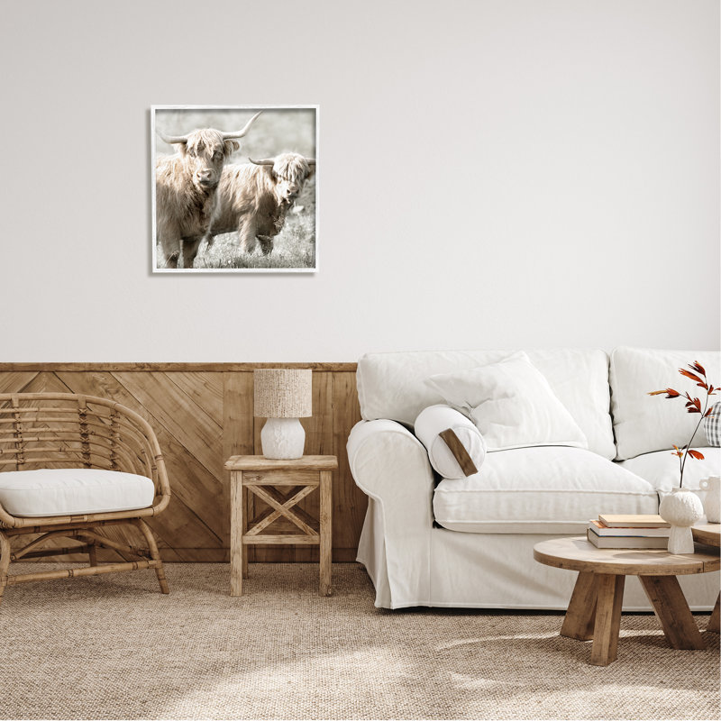Paire de bovins Highland par Danita Delimont - photographie sur bois, H 24 po x l 24 po x P 1,5 po, Blanc