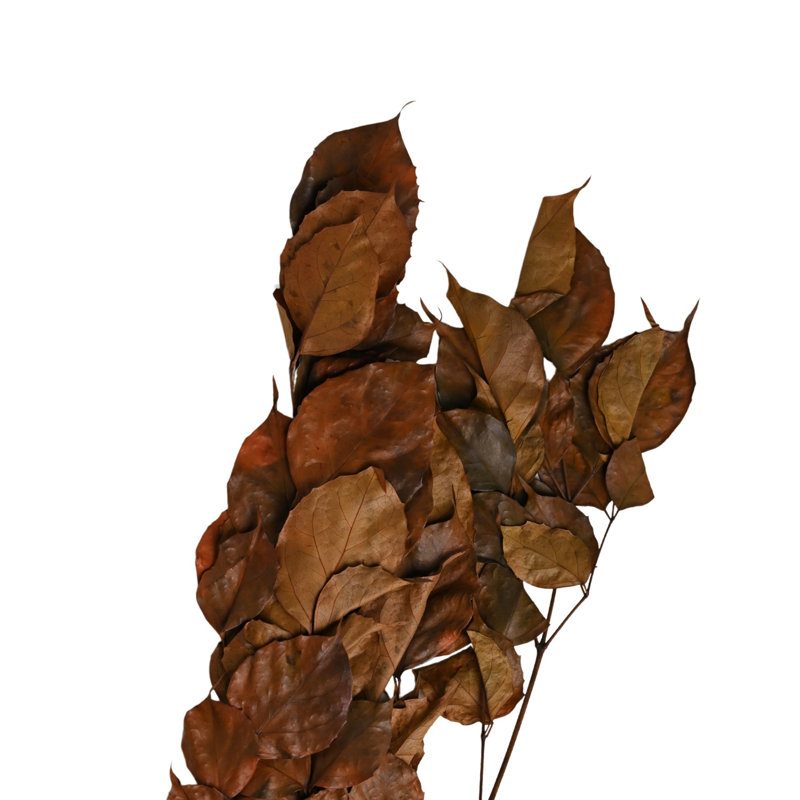 Bougon Branch 4Pc Paper Poly