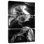 Alvord Antelope Canyon Natural Wonder VII