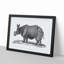 Rhinoceros in Black & White by George Shaw - Picture Frame Drawing Print-55598660-55598662